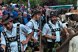 Viehscheid (5v9)_t.jpg